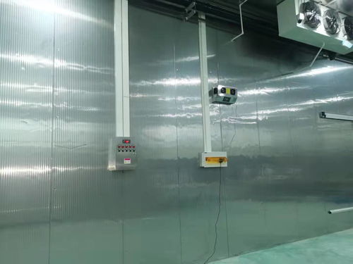 保障安全與效率 食品廠安裝并使用臭氧發生器的重要性及其觸控產品應用